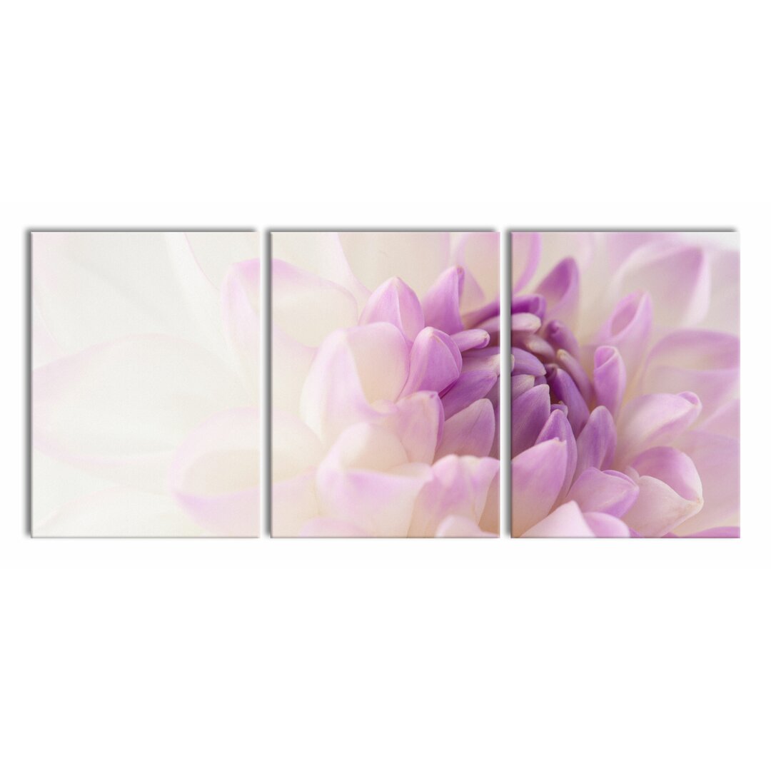 3-tlg. Leinwandbilder-Set Fabulous Purple White Flower