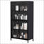 Armoire de rangement en métal noir de qualité supérieure avec portes en verre trempé, tablettes réglables et dispositifs de sécurité pour la maison et le bureau