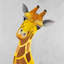 Curieux girafe, toile d'art animalier
