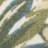 Clemencio 2'8" x 4' Ivory Green Modern Rug-1191991081