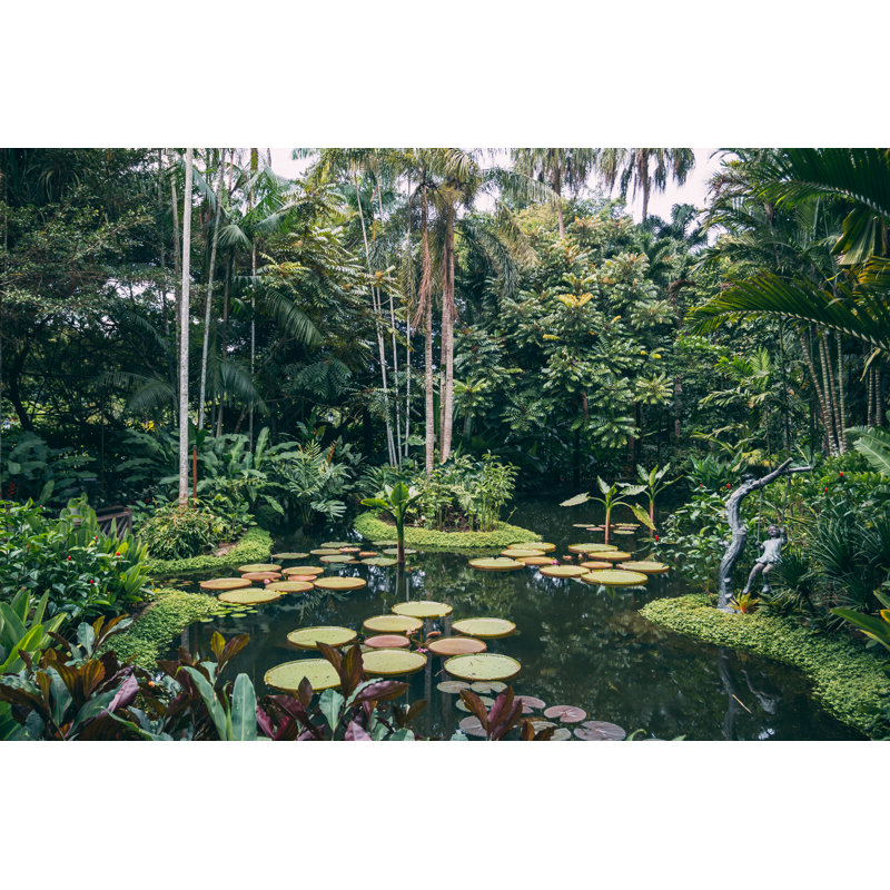The Giant Water Lily by Jasmina007 - Wrapped Canvas Print, 61cm H x 91cm W