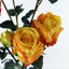 Plastic, Silk Artificial Arrangement-88685036