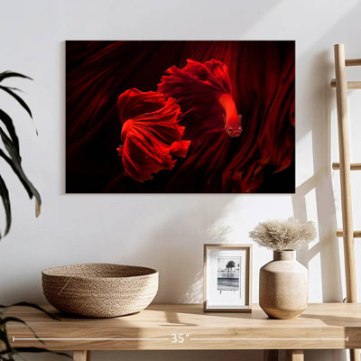 Brampt Fiery Red Betta Fish