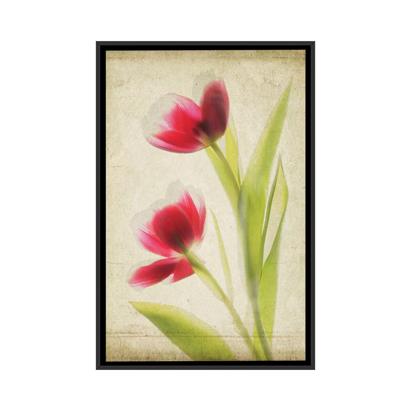« parchemin florals iii », impression sur toile, H 26 po x l 18 po x P 1,5 po, Toile avec cadre flottant noir, Pas de tapis