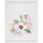 White Glove Series—Rose of Sharon Framed Print