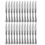 Venere Stainless Steel Steak Knife-1793550043
