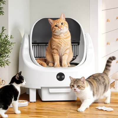 Automatic Self-Cleaning Cat Litter Box With App Control, Safety Sensors & Odor Control – Large Open Top Design With Litter Mat & Garbage Bags