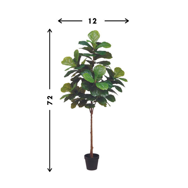 Elspeth Fiddle Leaf Fig Tree Drop-In