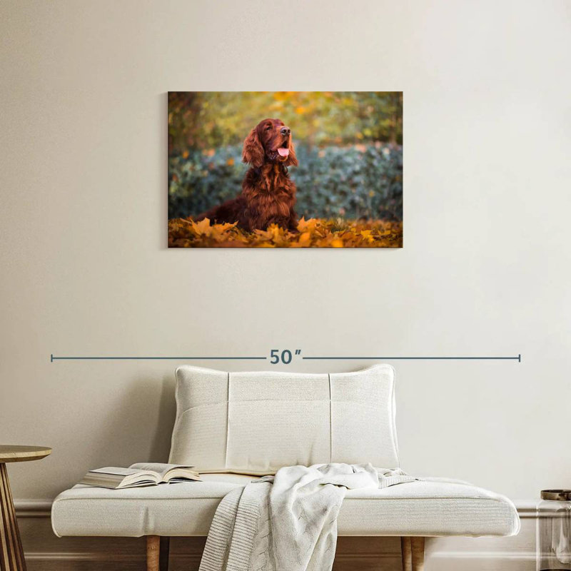 Irish Setter In Autumn