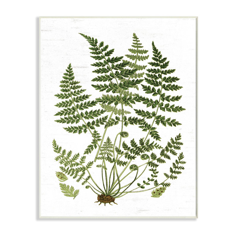 Forest Botanicals, H 19 po x l 13 po, Plaque murale
