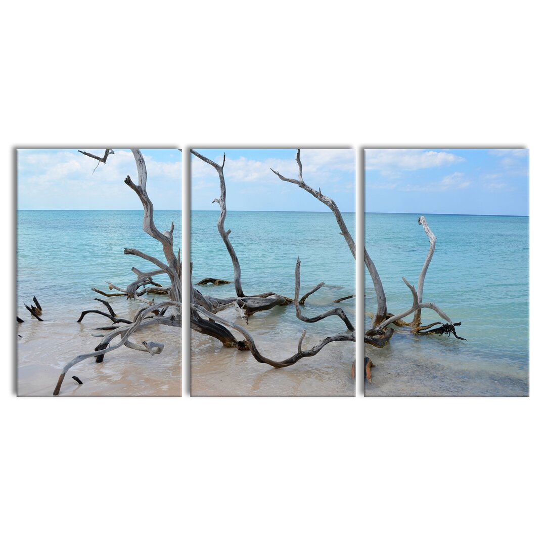 3-tlg. Leinwandbilder-Set Beach with Driftwood in Cuba