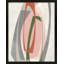 Orbit 6 Painting by Jacques Pilon-1772837922-1772837923