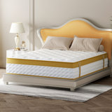Matelas en mousse à mémoire de forme moyenne 10 po Tempe dans une boîte avec mousse à mémoire de forme certifiée Certipur-US