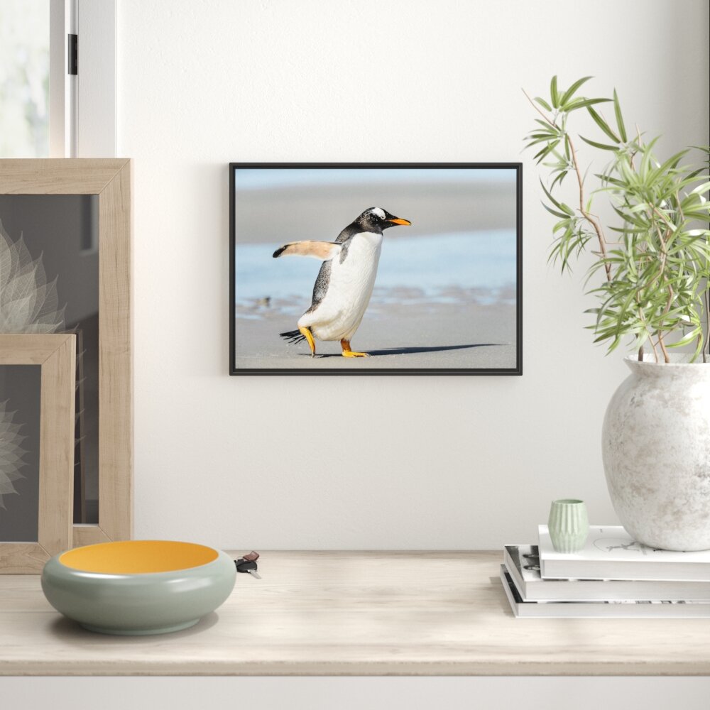 Gerahmtes Wandbild Pinguin am Strand