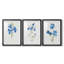 «Blue Blossom Botanical I», ensemble de 3 reproductions de cadres photo-566303055-566303054
