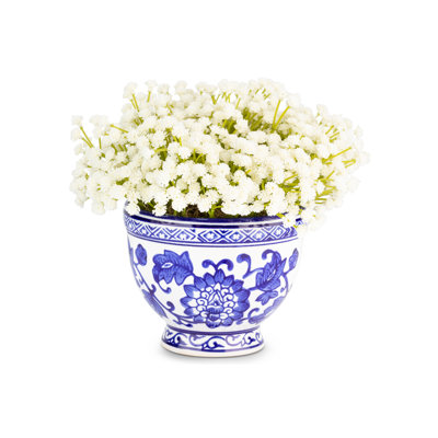 Functional Beauty Toile Baby's Breath Bowl