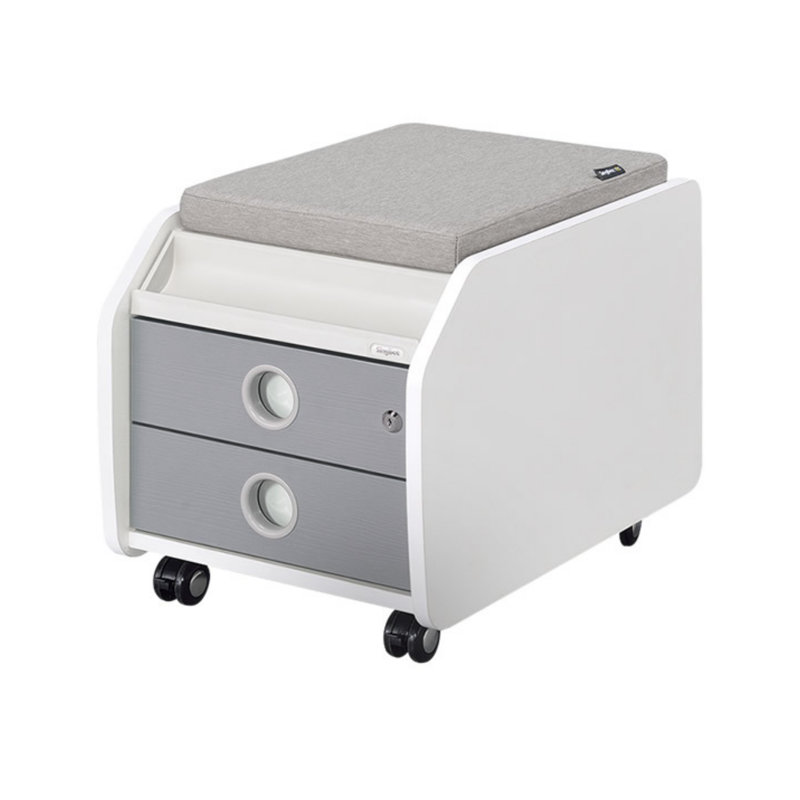 Avalon Park 15.7'' Wide 2 -Drawer Mobile File Cabinet