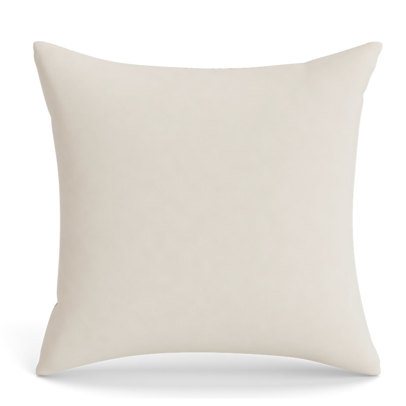 Joliet Linen Pillow Cover & Insert, Square 24"