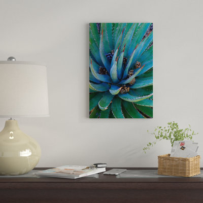 «Agave Plants with Pine Cones, North America» par Tim Fitzharris - Toile tendue