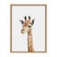 "Animal Studio Giraffe" par Amy Peterson, reproduction d'art sur toile encadrée-1477594703-1477594696