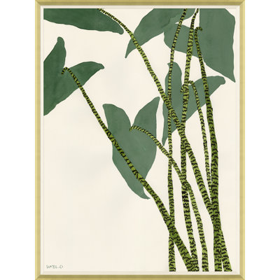 Caladium Giclee Print by Susan Hable