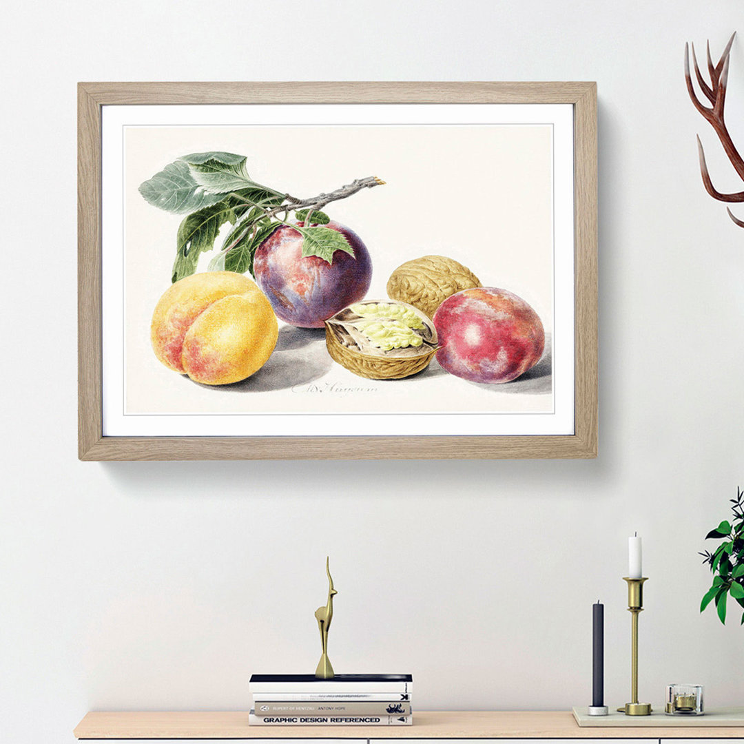 Peaches by Michiel Van Huysum - Picture Frame Painting Print