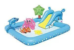 Aquarium Inflatable Slide