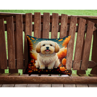 Other/No Pattern Outdoor Throw Pillow