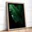 Luminous Tropical Leaves Botanical - Framed Print-93063096-93063098
