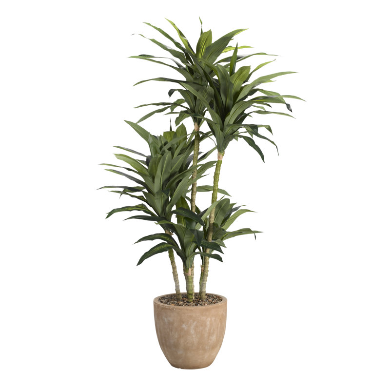 Faux Dracaena Tree in Concrete Planter