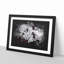 Winters Bloom Flowers - Picture Frame Graphic Art Print-56864704-56864705