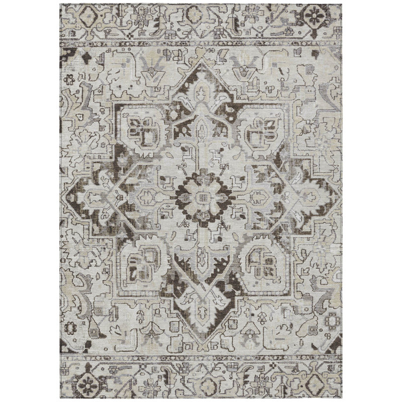 Queenie Washable Oriental Indoor / Outdoor Rug, Rectangle 2'6" x 3'10"