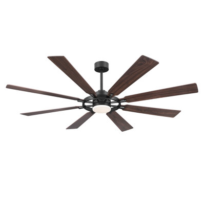 Antoinesha Ceiling Fan with LED Lights