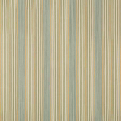 Vyne 100% Cotton Fabric