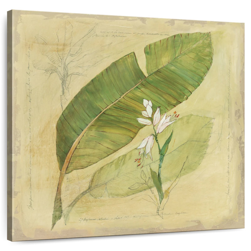 Harnek Botanical Study I