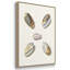 " Pastel Knorr Shells I " 3 - Pieces-91891606-91891605