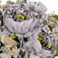 Mélange de pivoines et d'hortensias-1756509080