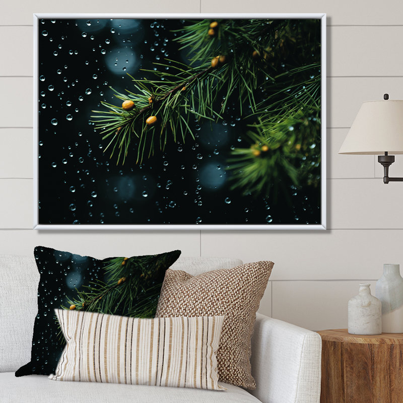 Épinette, pin, forêt I - Art mural pin, Cadre flottant brun, H 12 po x l 20 po x P 1 po