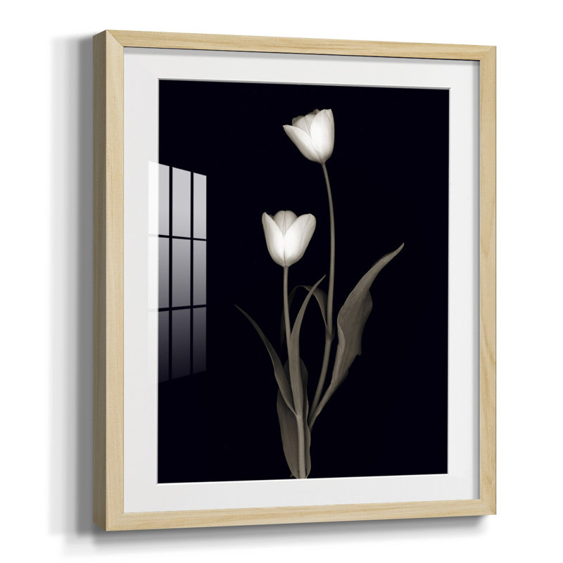 Impasto II, reproduction encadrée, Blanc, Papier encadré naturel