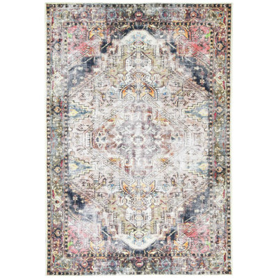 Oriental Indoor Rug