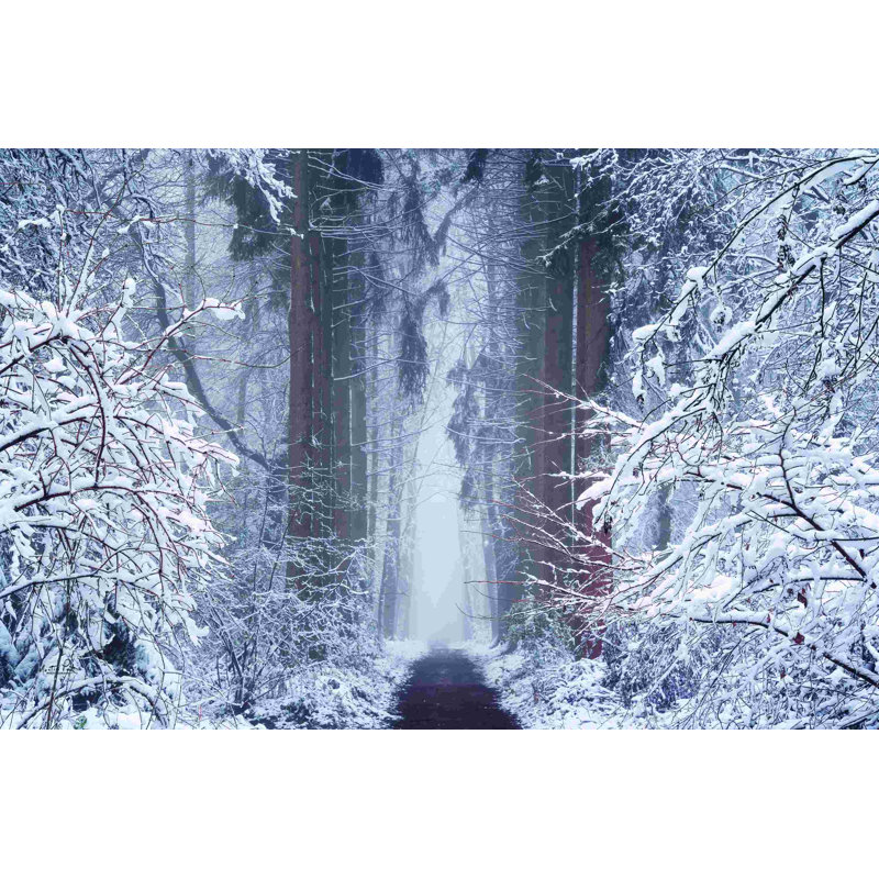 Vignette blanche 2886687, H 24 po x l 36 po, Non, Wrapped Canvas