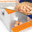 Boîte de nidification murale à 4 compartiments en acier galvanisé orange pour et canards, avec coussin en fibre de noix de coco naturelle, ventilation, installation facile, nettoyage facile