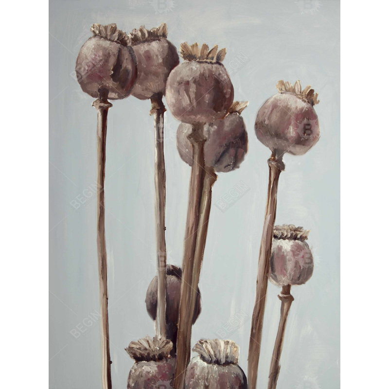 Sépia, plantes à tête de coquelicot | Toile décorative pour salle de bain