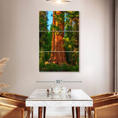 Kings Canyon Sequoia
