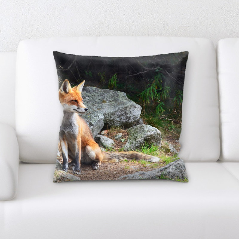 Coussin de fox