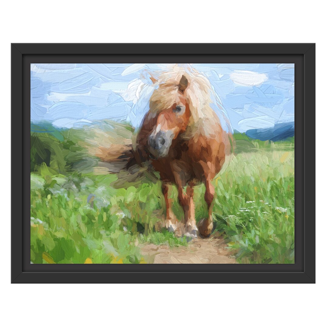 Gerahmtes Wandbild Shetlandpony auf der Wiese Kunst