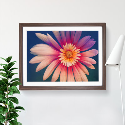 Marvellous Daisy Flower - Single Picture Frame Painting