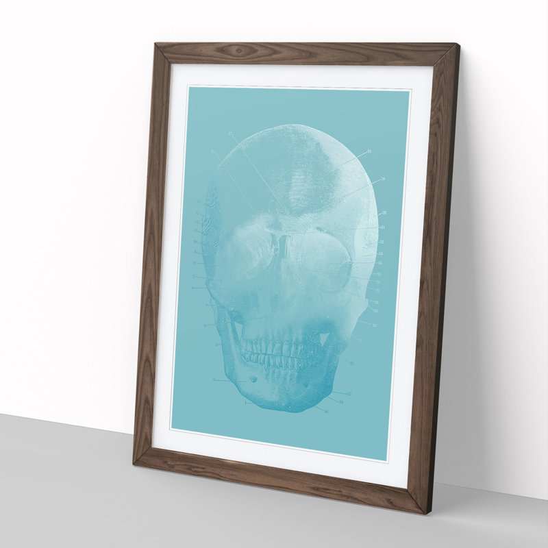 Blue Twilight Skull - Picture Frame Graphic Art, Walnut, 36cm H x 27cm W x 2cm D