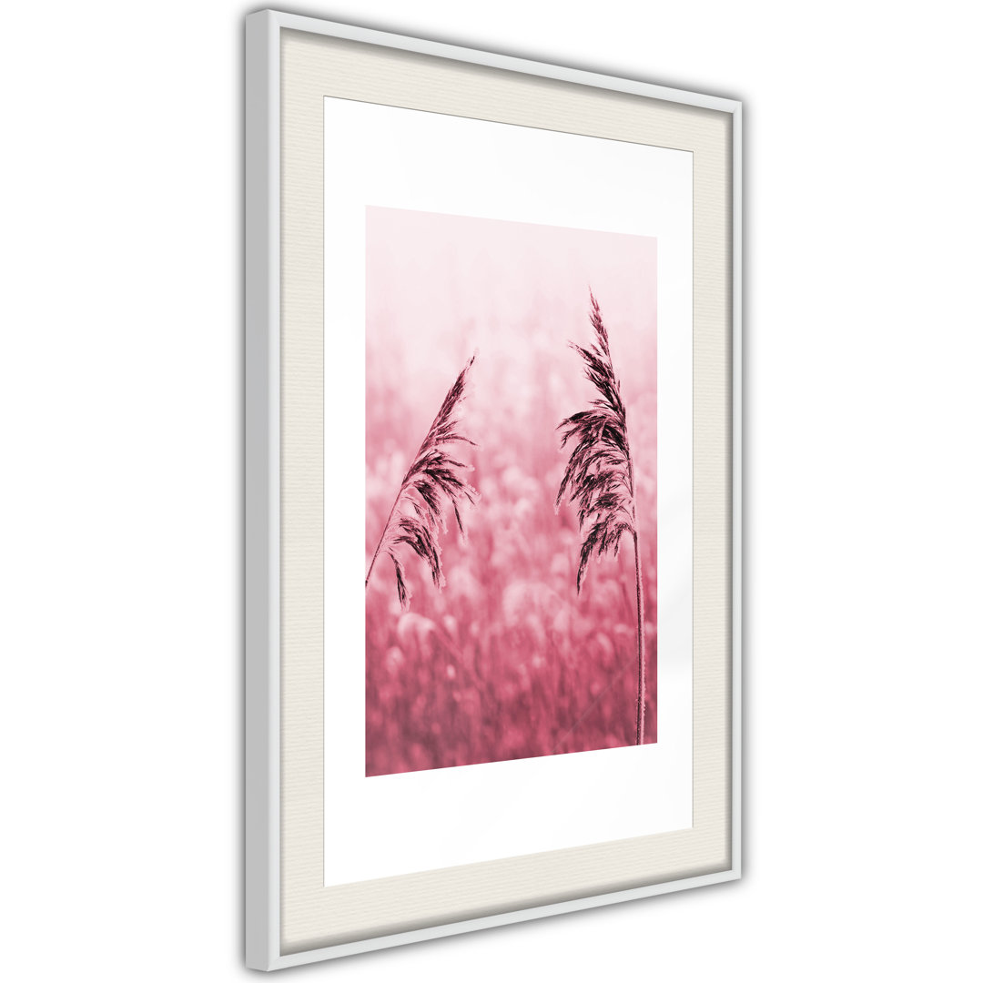 Gerahmtes Poster Amaranth Meadow