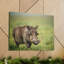 Wall Art on Canvas-223026310